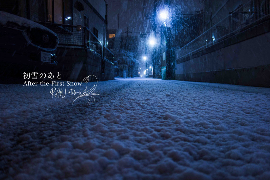 初雪が積もった夜の路地を、地面すれすれの低い視点から捉えた写真。
青い街灯の光が奥へ連なり、雪の粒が静かに輝いている。
